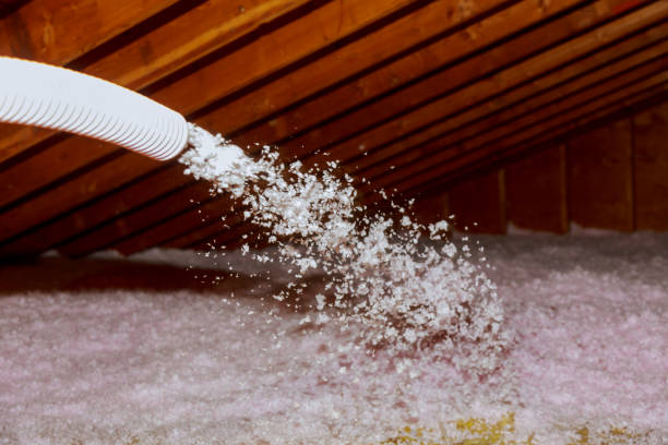 Best Local Insulation Services  in Fort Sumner, NM