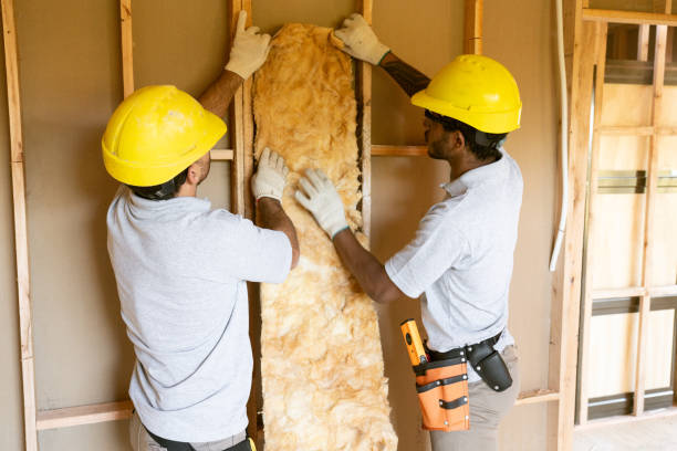 Best Affordable Insulation Services  in Fort Sumner, NM