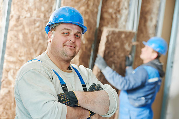 Best Spray Foam Insulation  in Fort Sumner, NM